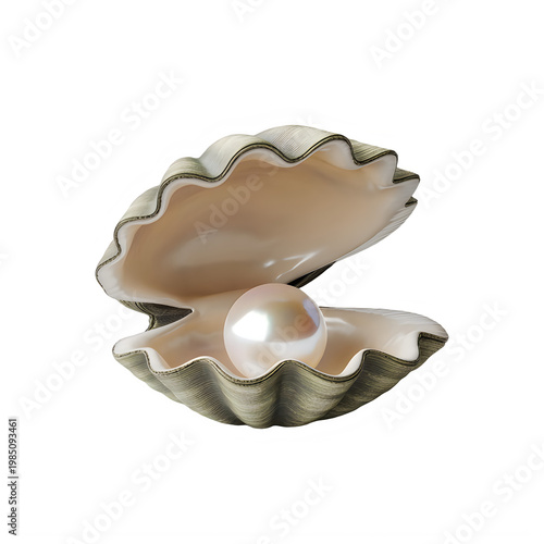 Open seashell with pearly white pearl isolated on a transparent background oyster