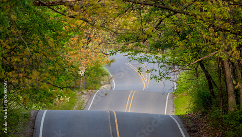 Canvastavla Winding road disappearing into green forest canopy in Michigan
