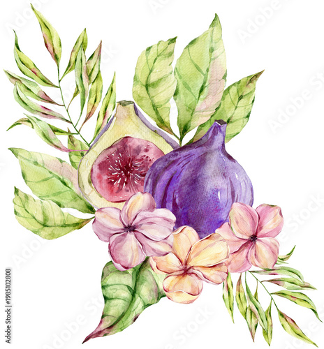 Watercolor arrangement of fresh fig fruit and delicate flowers with green leaves on transparent background. Botanical composition for wedding invitation or greeting card design project.