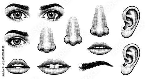Detailed collection of human facial features in black and white sketch style.