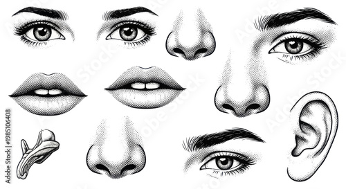 Detailed Human Facial Features Collection Hand Drawn Style.