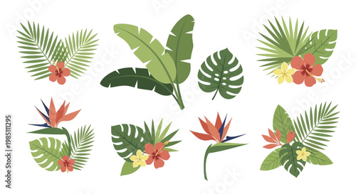 Tropical Leaves and Flowers Collection for Summer Designs.