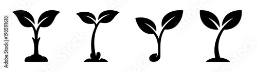 Discover simple black and white sprouts illustration vector for agriculture and gardening needs design 