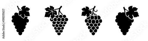 Black and white grape bunches vector illustration for wine design and vineyard graphics projects use free