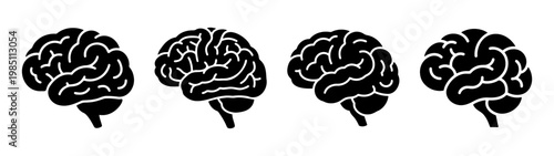 Human brain anatomy illustration: medical science and educational resource for learning brain health