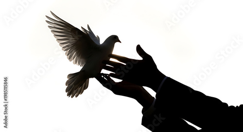 A silhouette of a person's hands releasing a dove into the air