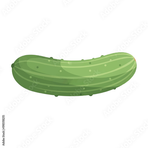 Cucumber Vegetable Fresh Green Healthy Food.