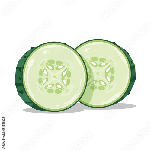 Green Zucchini Cut in Half Fresh Vegetable.