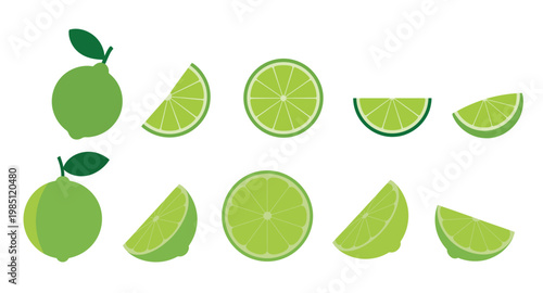 Set of flat lime fruit including whole limes with leaves and various sliced segments showing internal pulp texture in shades of light and dark green on a white background
