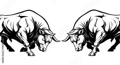 Two Angry Bulls Facing Off, Aggressive Animal Fight Illustration