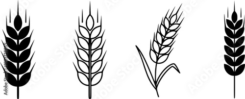 Wheat icon concept. Glyph and line vector illustrations on white background
vector silhouette illustration isolated on white background 