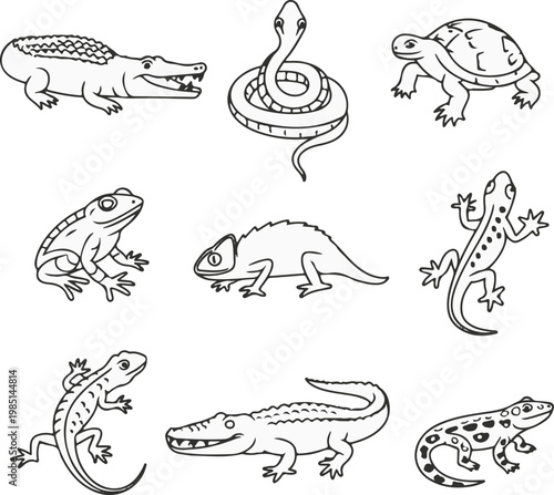 set of funny animals