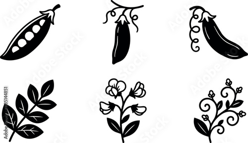 Black and white silhouette pea pods beans and flowering plants vector art