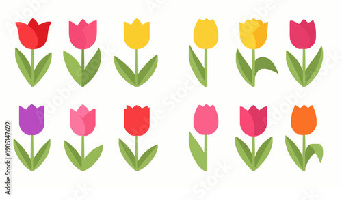 Colorful flower collection vector set roses sunflowers lilies tulips orchids isolated