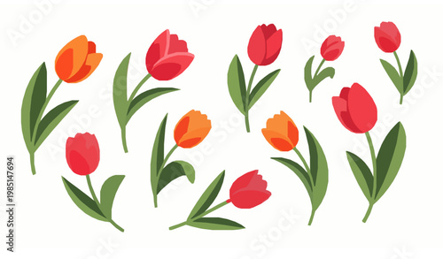 Hand drawn colorful flowers vector set roses sunflowers lilies tulips orchids illustration