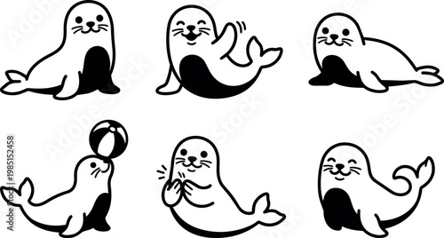 Playful seals in various poses and gestures