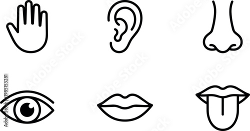 Human five senses icons including hand ear nose eye lips and tongue