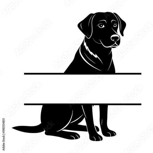 Labrador 