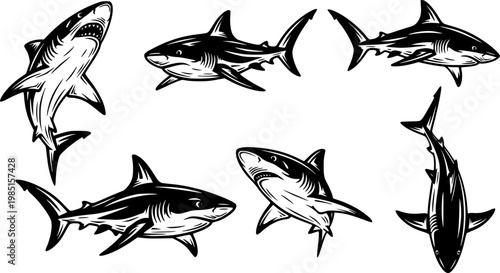 Collection of five black and white stylized illustrations of sharks swimming in different dynamic poses