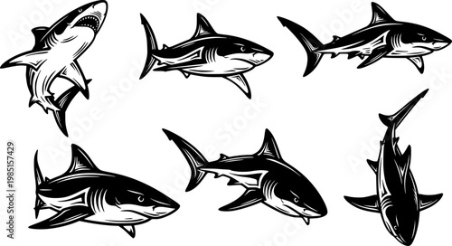 Collection of five black and white stylized illustrations of sharks swimming in different dynamic poses