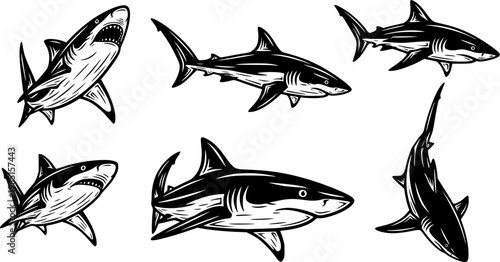 Collection of five black and white stylized illustrations of sharks swimming in different dynamic poses