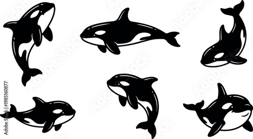 Black and white orca whale vector art in various swimming poses