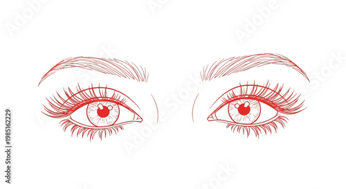 Red line art illustration of beautiful female eyes with long eyelashes and eyebrows.