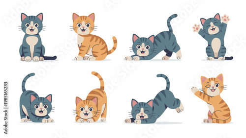 Flat Cat Poses Set Cartoon Kitten Vector Collection Cute Pet Illustration