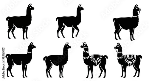 Llama Silhouette Collection