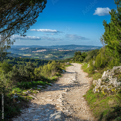 A winding rocky trail through green foliage leads to a panoramic vista of a valley, distant towns, and blue sky
