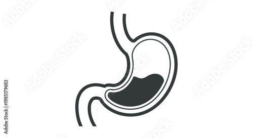Minimalist vector graphic illustration of a human stomach silhouette displaying internal acid or liquid content for medical educational diagrams or healthcare related digital web designs