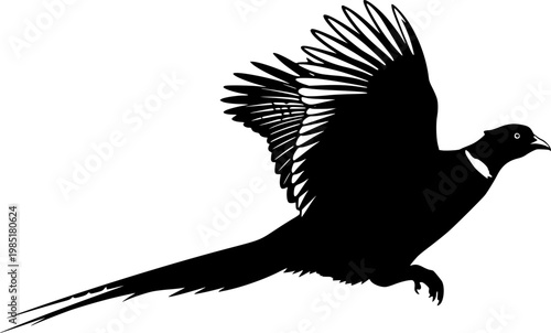 Pheasant silhouette, Flying pheasant silhouette, Pheasant SVG, Pheasant silhouette clip art, Bird silhouettes, Bird SVG, Bird clip art