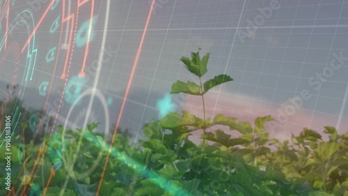 Sapling above canopy, sensor scan starting HUD grid centering and marking growth for agriculture