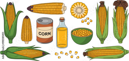 Fresh Sweet Corn Vector Illustration Set Featuring Yellow Cobs Kernels Canned Maize And Vegetable Oil For Healthy Food Cooking Graphic Design