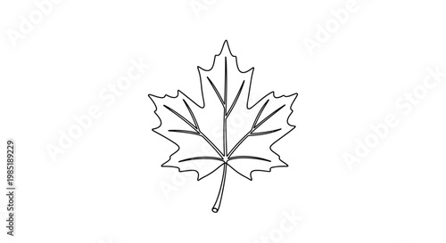 Maple Leaf Outline Icon - Simple Vector Illustration