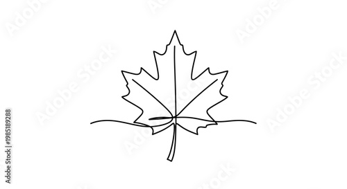 Maple Leaf Outline Minimalist Drawing on White Background