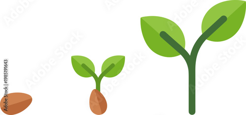 Plant Growth Stages: Seed, Sprout, Young Plant - Flat Design Icons