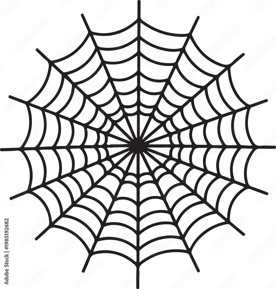 Photography Spider Web Silhouette