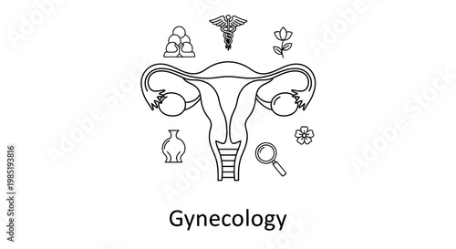 Gynecology Concept with Female Reproductive System and Medical Icons, Line Art Illustration