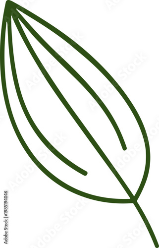 Hand-drawn green leaf illustration, simple botanical outline on white background