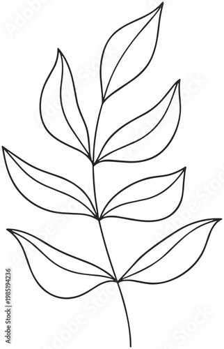 Simple outline drawing of a delicate leaf stem with multiple leaves, black and white botanical illustration.