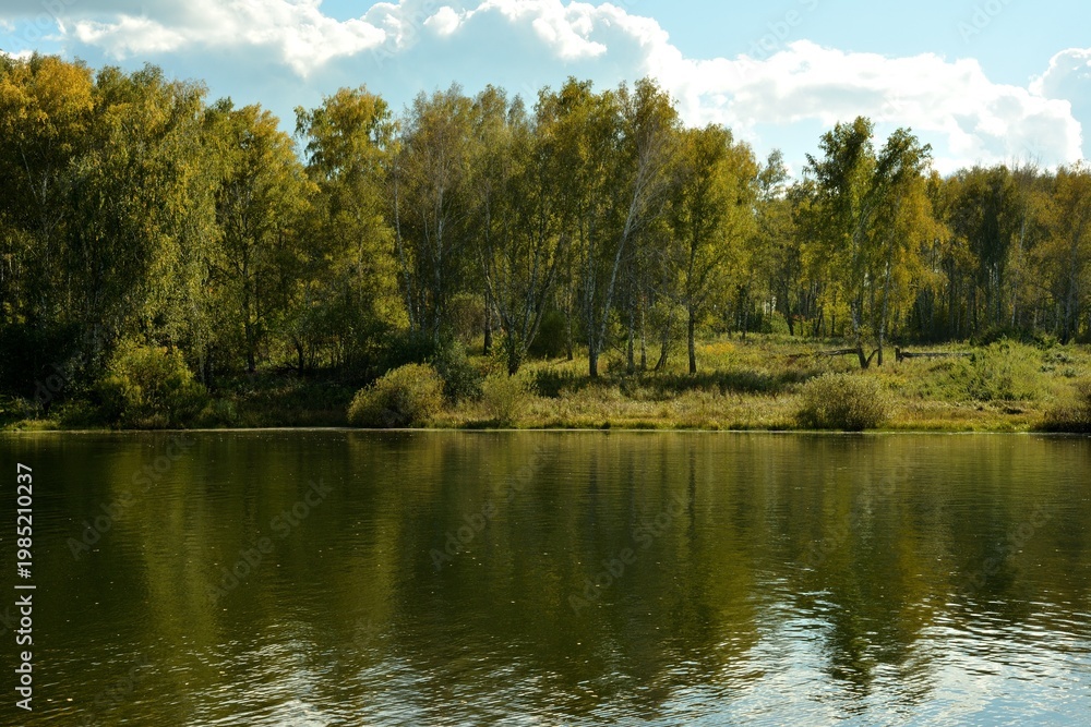 Obraz premium A ripple on the surface of a wide lake and the reflection of trees along its shores on a sunny summer day.