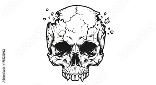 Cracked Skull Illustration