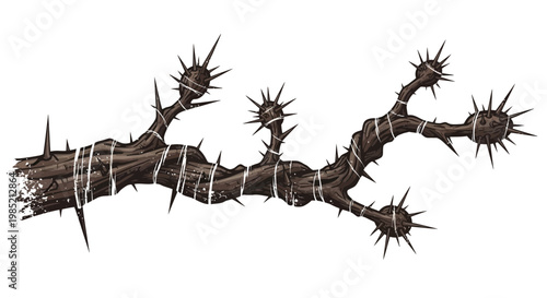 Thorny branch with sharp spikes and white string
