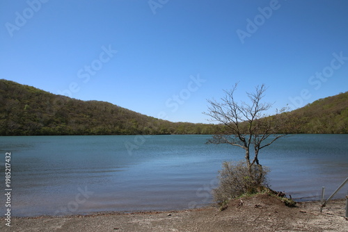 深緑の小沼（赤城）の風景。