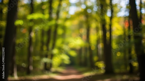 Blurred forest path with trees.