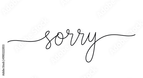 Sorry text, handwritten calligraphy, apology, regret, simple, elegant, white background