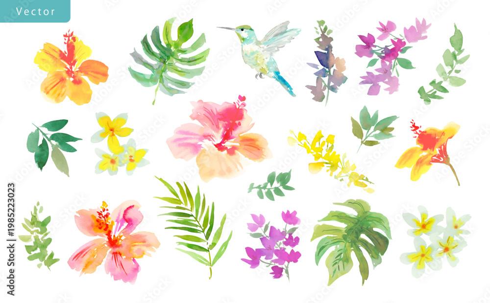 Fototapeta premium Watercolor tropical floral vector clipart set with abstract hand-painted colorful hibiscus flowers, monstera leaves, plumeria flowers, tropical leaves, and a hummingbird for stationery, surface design
