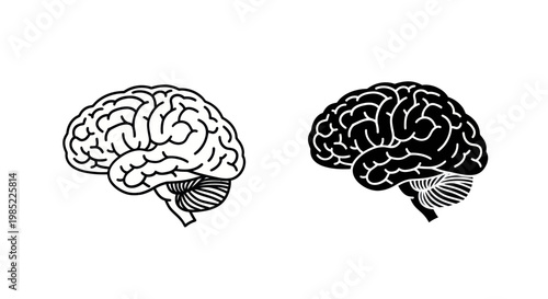 Brain Icons: Black and White Outline and Silhouette Human Brain Illustration