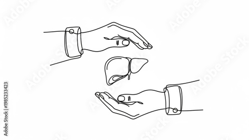 World Hepatitis Day Abstract continuous line drawing of hands cradling a human liver, representing organ protection, healthcare, donation, and medical support for liver health